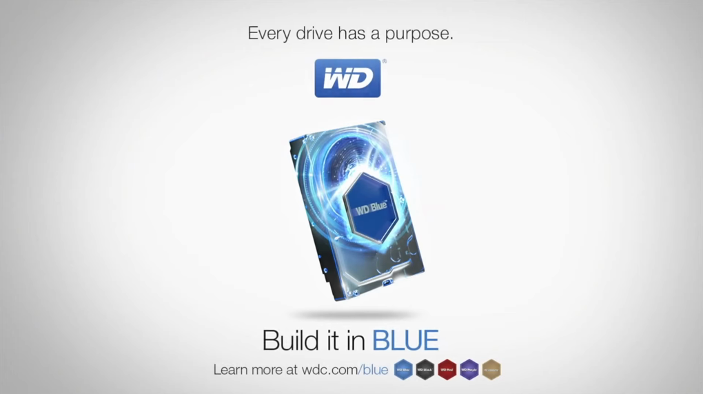 WD Blue 硬盤